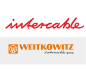 Официальный дистрибьютер Intercable и Weitkowitz  в России | ГК Индатэк