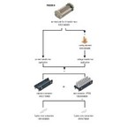 TCN 4TR POCON 8 Weidmuller