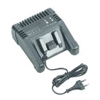 LADEGERAET EPG 45 120V Weidmuller